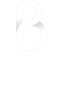 logo_bridgeval